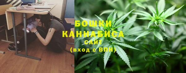 MESCALINE Аркадак
