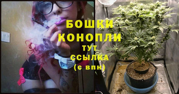 меф Арсеньев