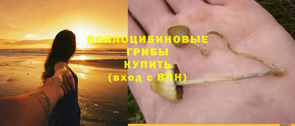 меф Арсеньев