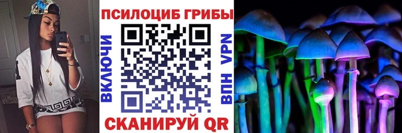 где продают   Пыталово  сайты даркнета состав  Галлюциногенные грибы Cubensis 