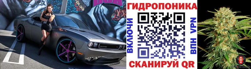 блэк спрут ССЫЛКА  Пыталово  Канабис конопля 